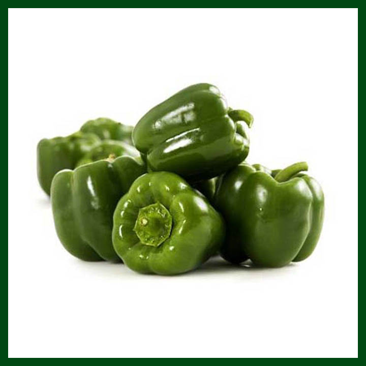 Green Capsicum - 50 to 60 Seeds - MGS1214