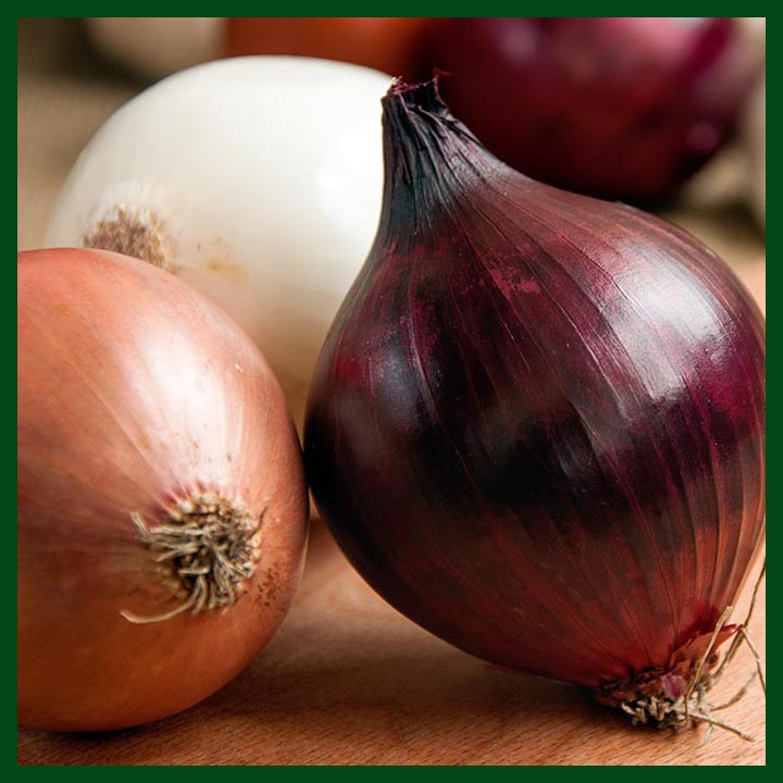 Onion - পিঁয়াজ - (180 to 220 seeds) - MGS1002