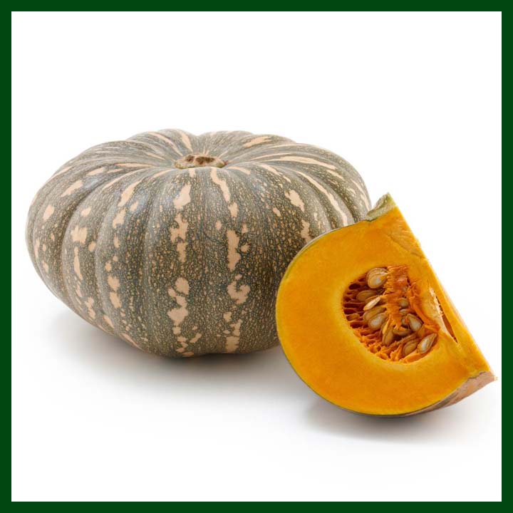 Pumpkin - মিষ্টি কুমড়া - 5g seeds - MGS1048