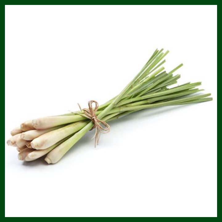 Lemongrass - 100 seeds - Indian - MGS1205 - Omaxe