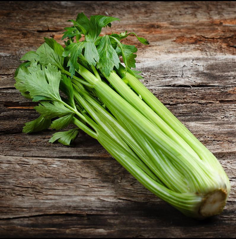 Celery – (7500 to 10000 seeds) - MGS1023COM - Commercial Pack