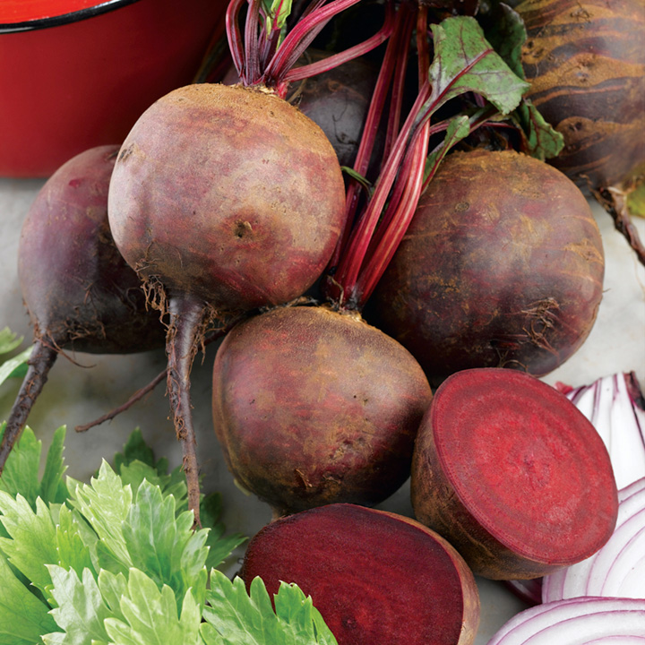 -Beetroot F1 Hybrid - বীট পালং - 50 to 60 Seeds - MGS1022