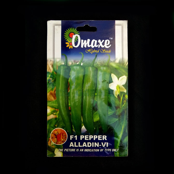 Alladin-VI F1 Pepper – (30 seeds) – Omaxe - Indian