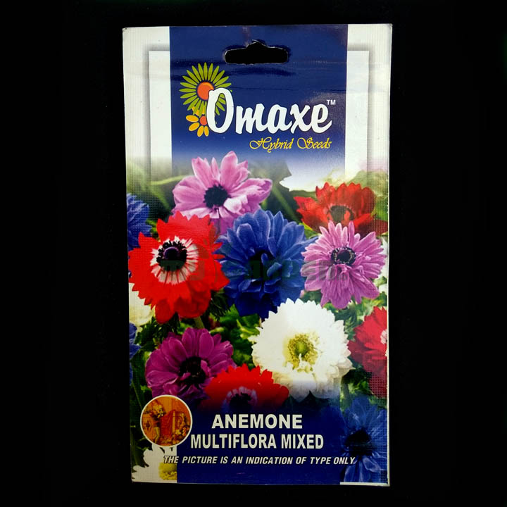 Anemone Multiflora Mixed– (30 seeds) – Omaxe - Indian