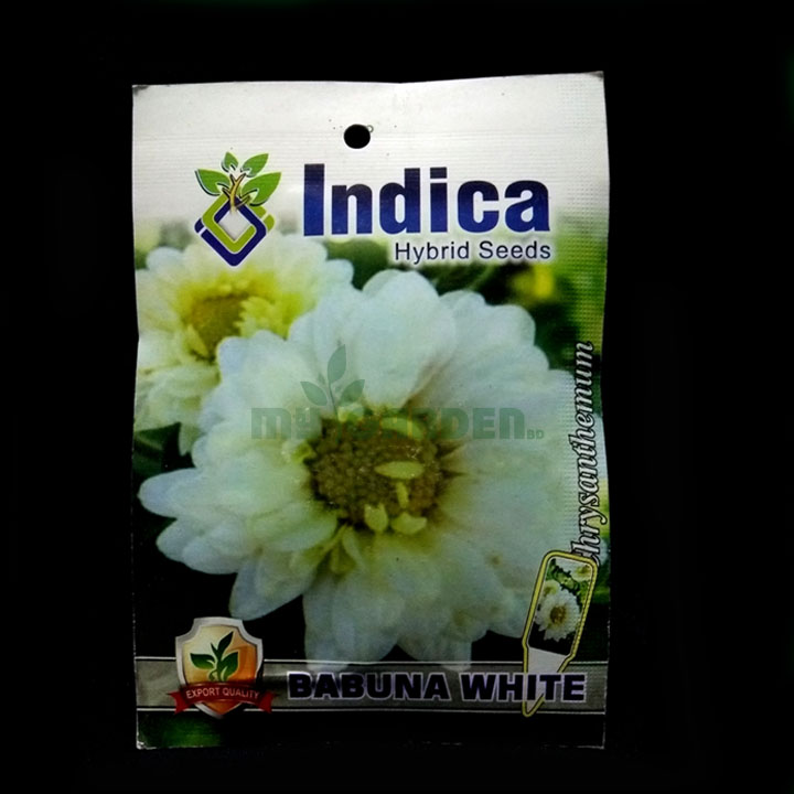 Babuna White – (50 seeds) – Indica - Indian