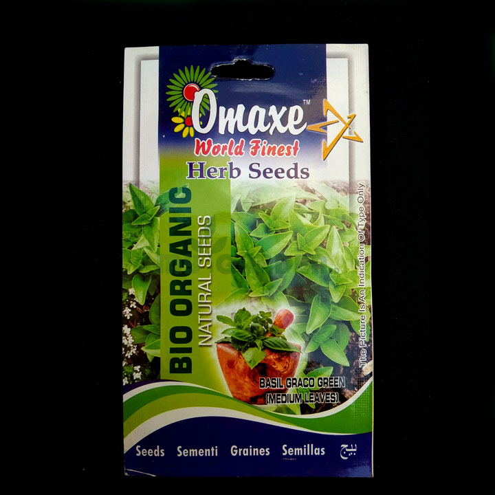 Basil Graco Green (Medium Leaves)– (50 seeds) – Omaxe - Indian