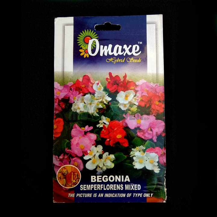 Begonia Semperflorens Mixed – (10 seeds) – Omaxe - Indian