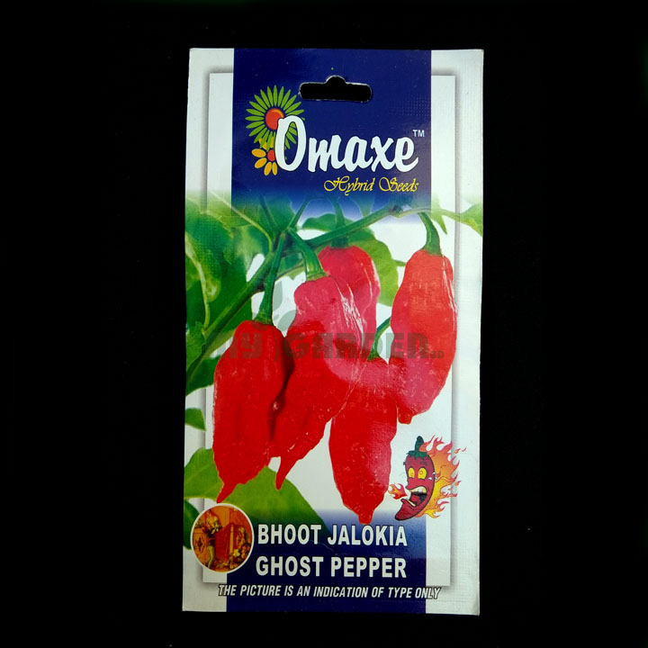 Bhoot Jaloka Ghost Pepper– (10 seeds) – Omaxe - Indian