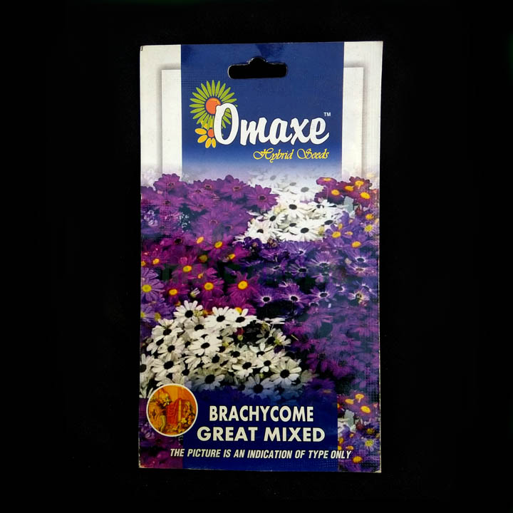 Brachycome Great Mixed – (50 seeds) – Omaxe - Indian