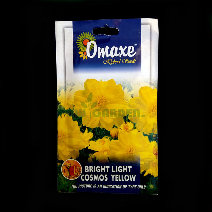Bright Light Cosmos Yellow – (100 seeds) – Omaxe - Indian