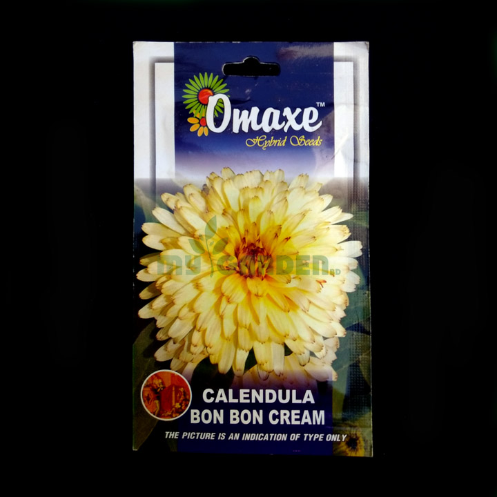 Calendula Bon Bon Cream – (50 seeds) – Omaxe - Indian