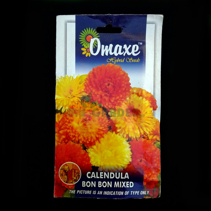 Calendula Bon Bon Mixed– (50 seeds) – Omaxe - Indian