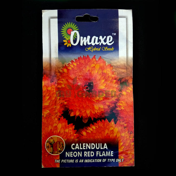 Calendula Neon Red Flame – (50 seeds) – Omaxe - Indian