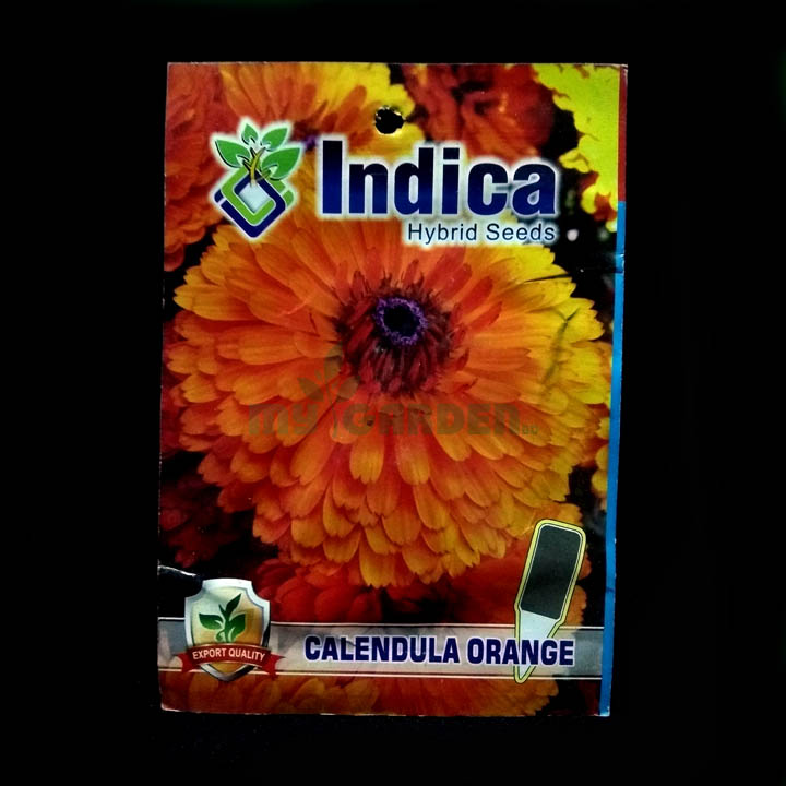 Calendula Orange – (50 seeds) – Indica - Indian