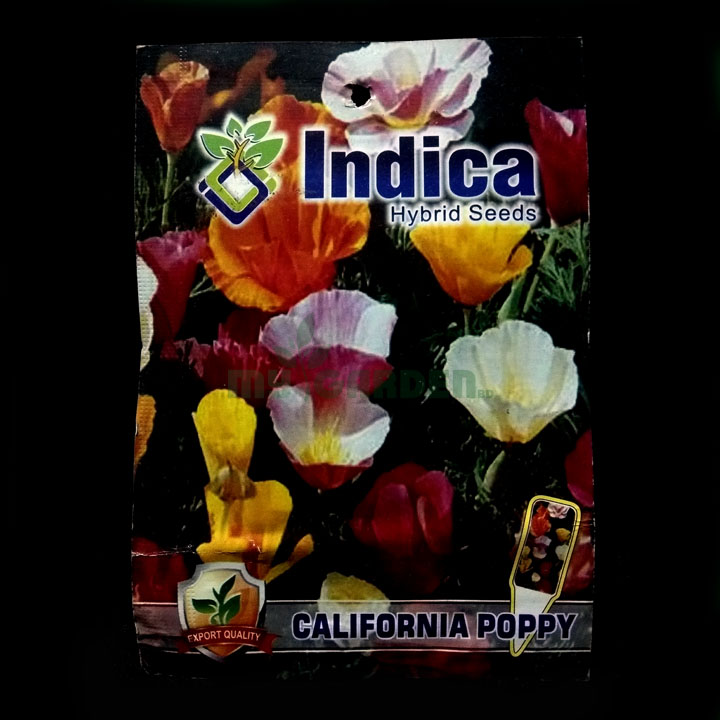California Poppy   – (50 seeds) – Indica - Indian