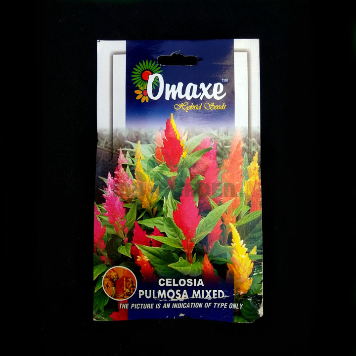 Celosia Pulmosa Mixed – (100 seeds) – Omaxe - Indian