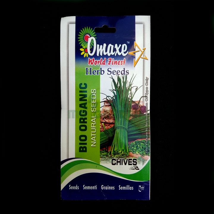 Chives – (30 seeds) – Omaxe - Indian