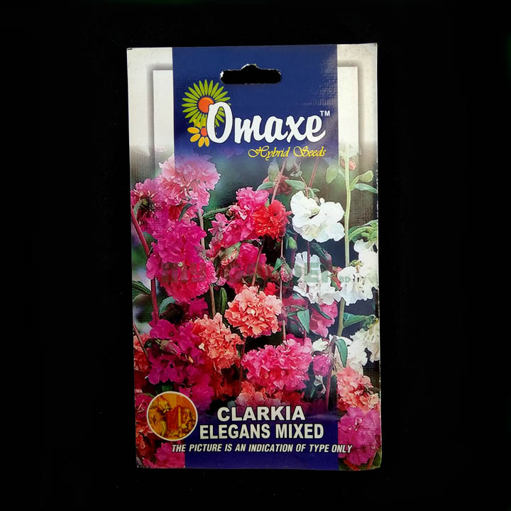 Clarkia Elegans Mixed – (100 seeds) – Omaxe - Indian