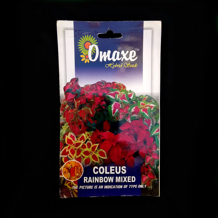 Coleus Rainbow Mixed – (30 seeds) – Omaxe - Indian