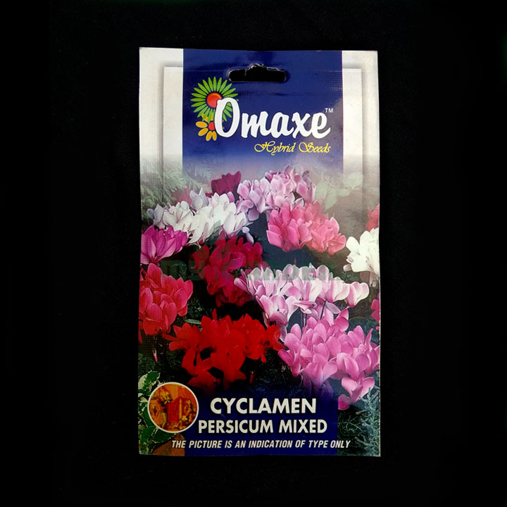 Cyclamen Persicum – (10 seeds) – Omaxe - Indian