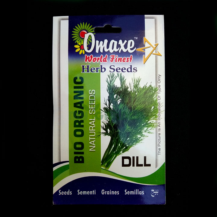 Dill – (100 seeds) – Omaxe - Indian