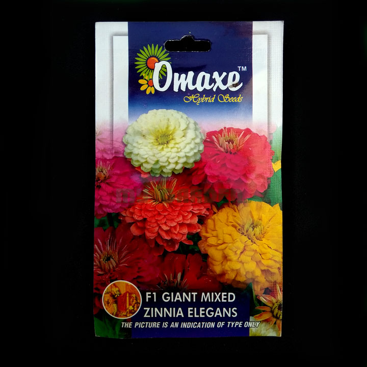 F1 Giant Mixed Zinnia Elegans – (50 seeds) – Omaxe - Indian