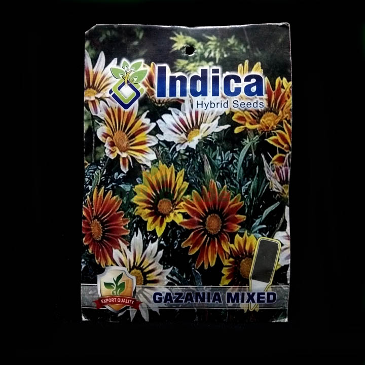 Gazania Mixed – (50 seeds) – Indica - Indian