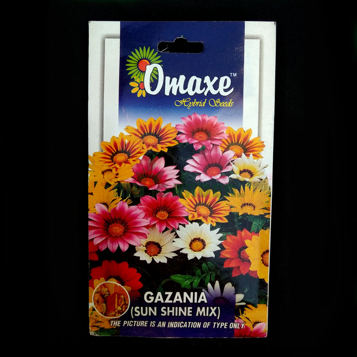 Gazania (Sun Shine Mix) – (50 seeds) – Omaxe - Indian