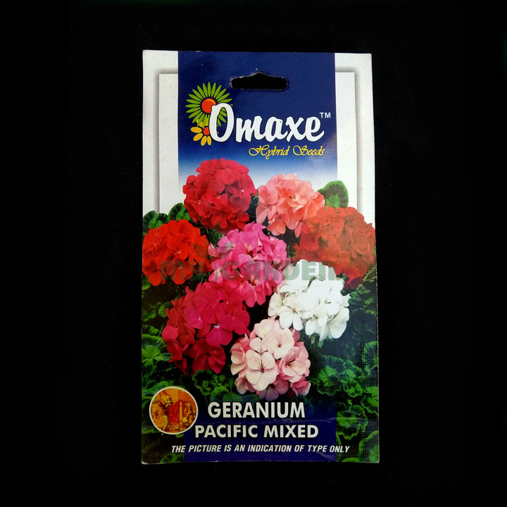 Geranium Pacific Mixed – (10 seeds) – Omaxe - Indian