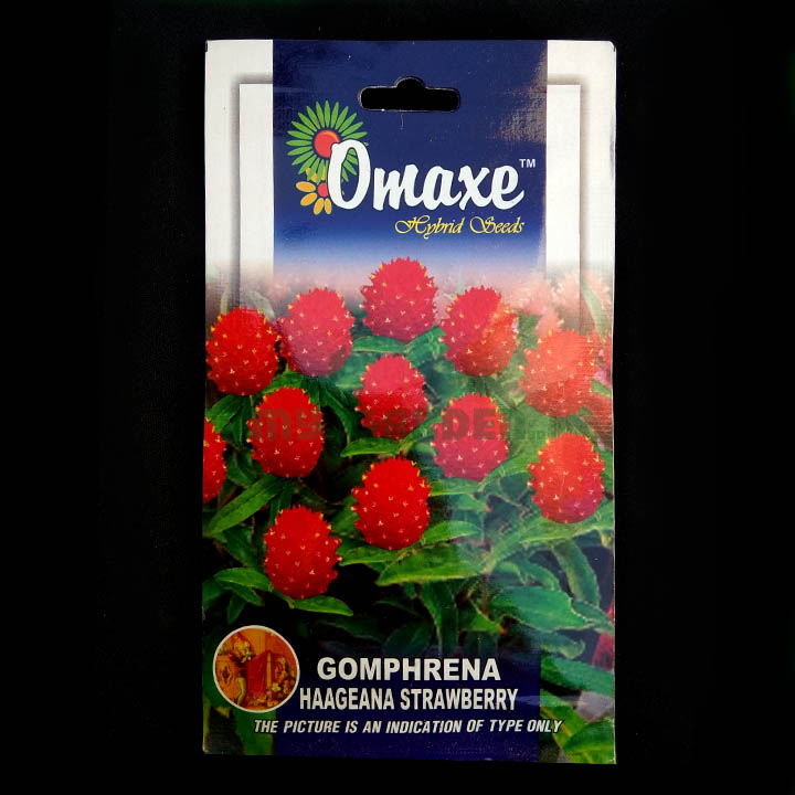 Gomphrena Haageana Strawberry – (50 seeds) – Omaxe - Indian