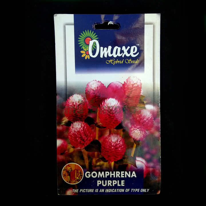 Gomphrena Purple – (50 seeds) – Omaxe - Indian