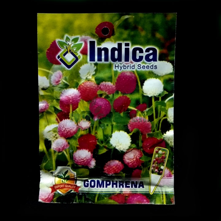 Gomphrena – (50 seeds) – Indica - Indian