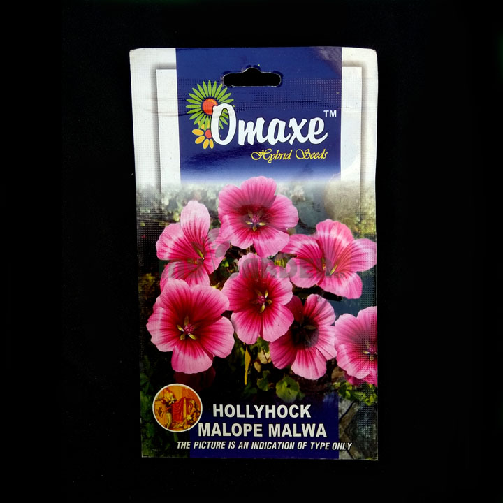 Hollyhock Malope Malwa – (50 seeds) – Omaxe - Indian