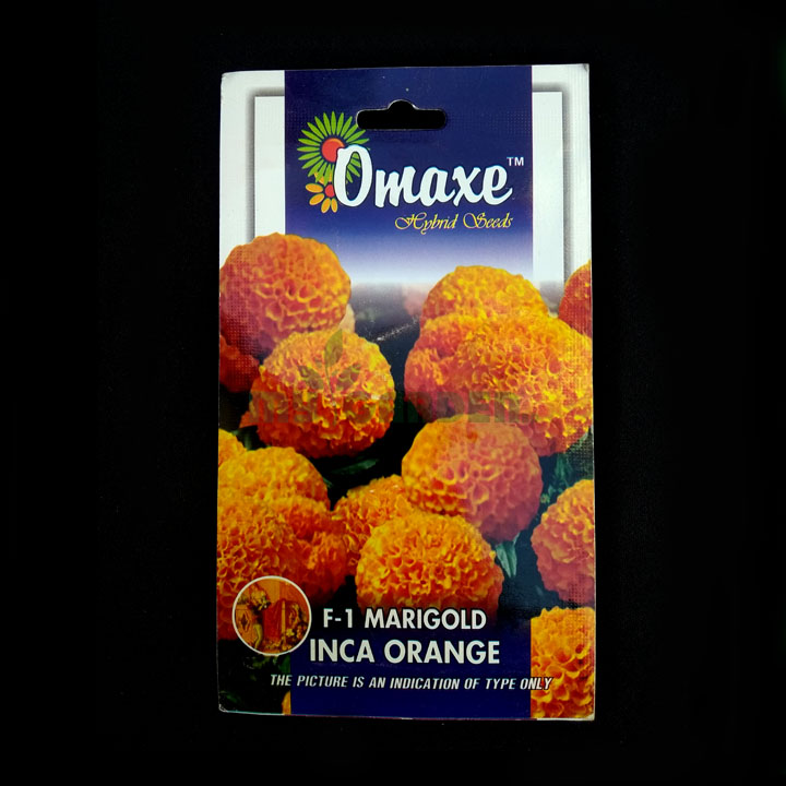 Inca Orange F1 Marigold – (10 seeds) – Omaxe - Indian