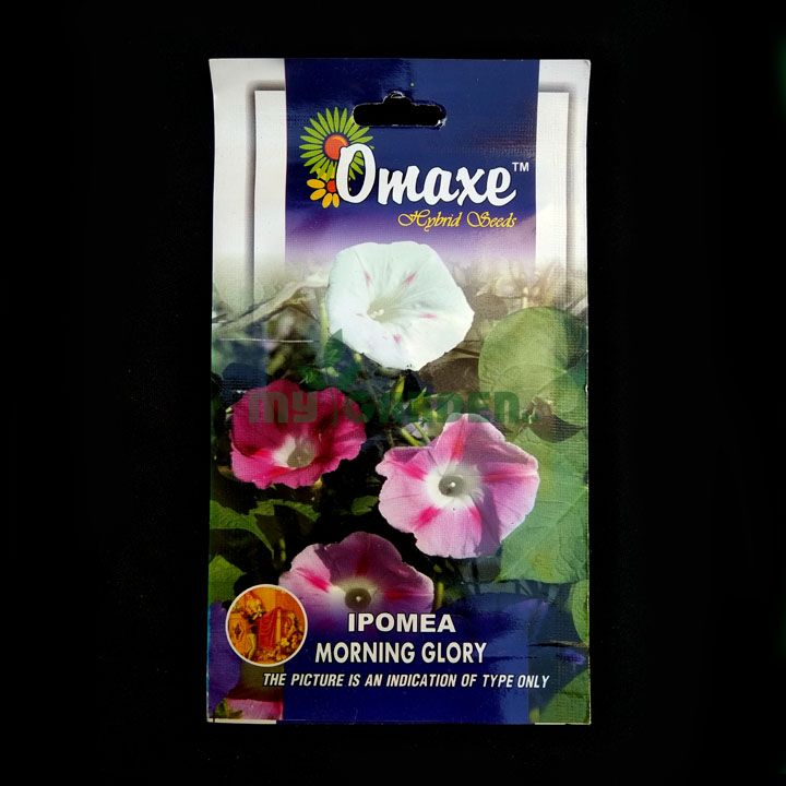 Ipomea Morning Glory – (50 seeds) – Omaxe - Indian