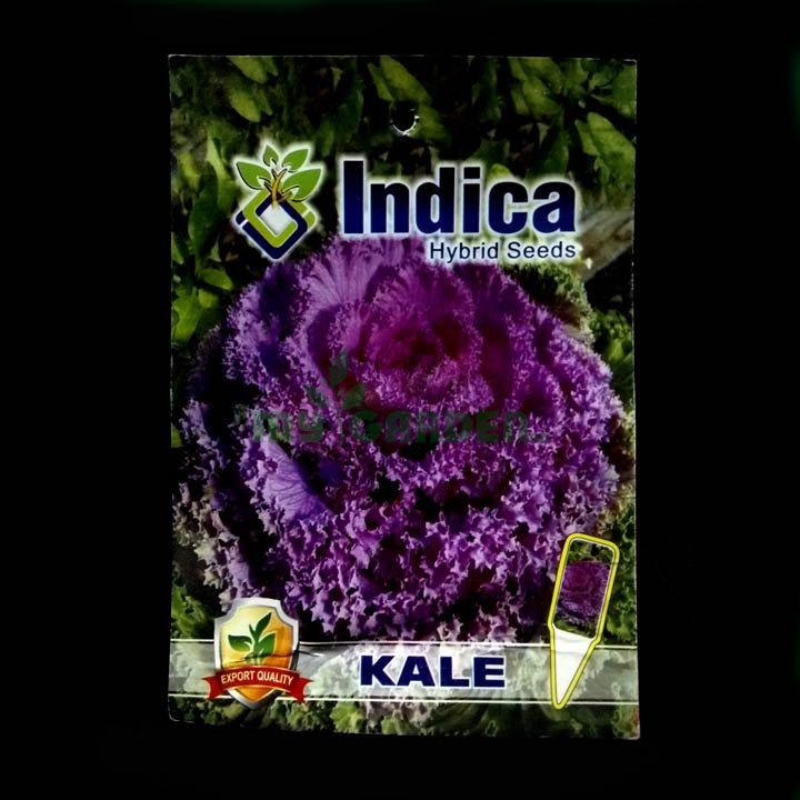 Kale – (50 seeds) – Indica - Indian