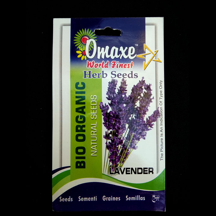Lavender – (50 seeds) – Omaxe - Indian
