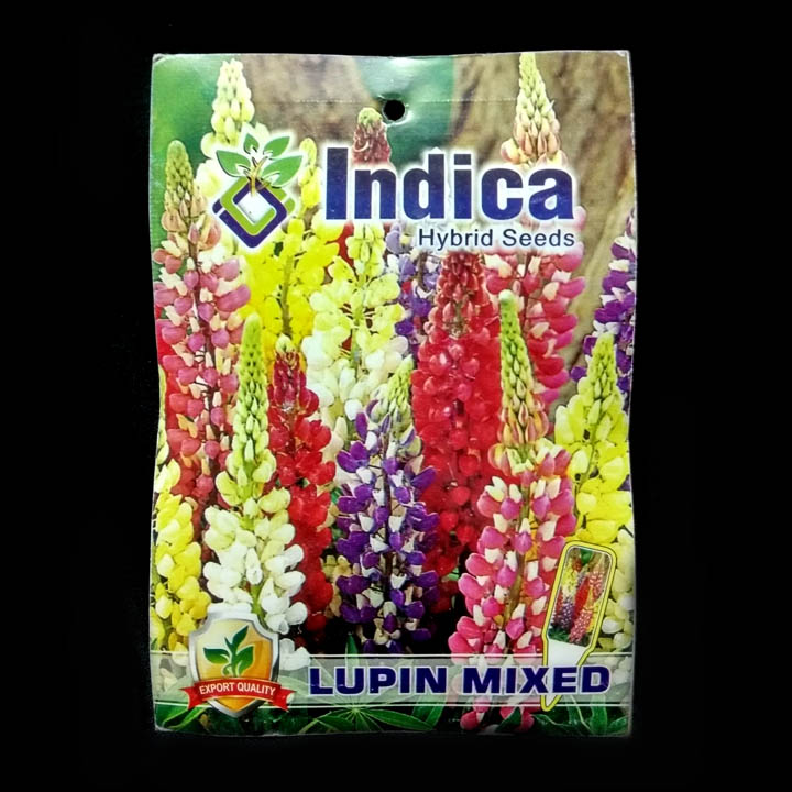 Lupin Mixed – (50 seeds) – Imperial- Indian