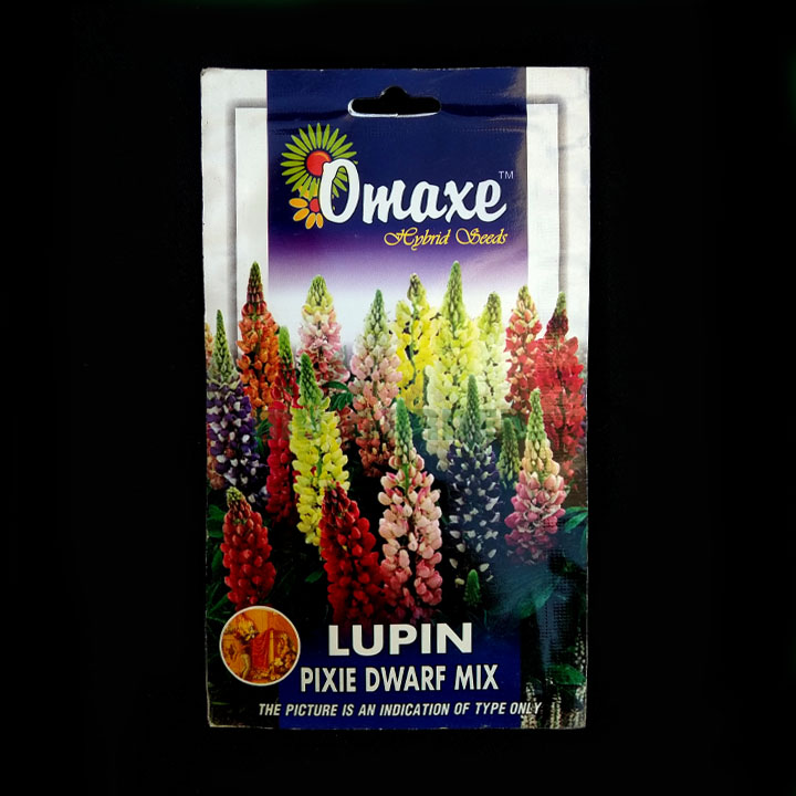 Lupun Pixie Dwarf Mix – (70 seeds) – Omaxe - Indian