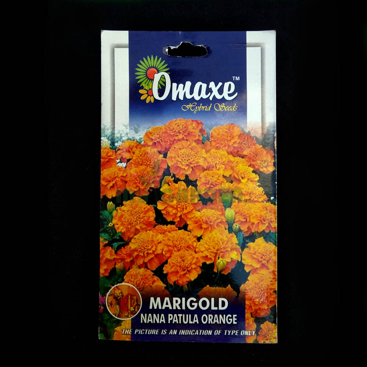 Marigold Nana Patula Orange – (50 seeds) – Omaxe - Indian