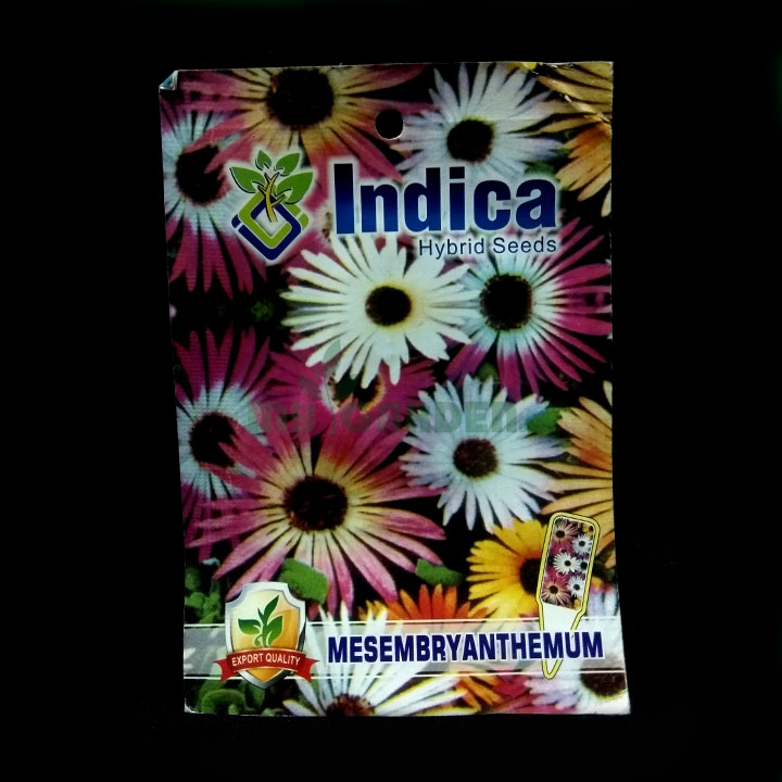 Mesmbryanthemum – (50 seeds) – Indica - Indian