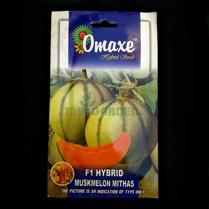 Muskmelon Mithas F1 Hybrid – (10 seeds) – Omaxe - Indian