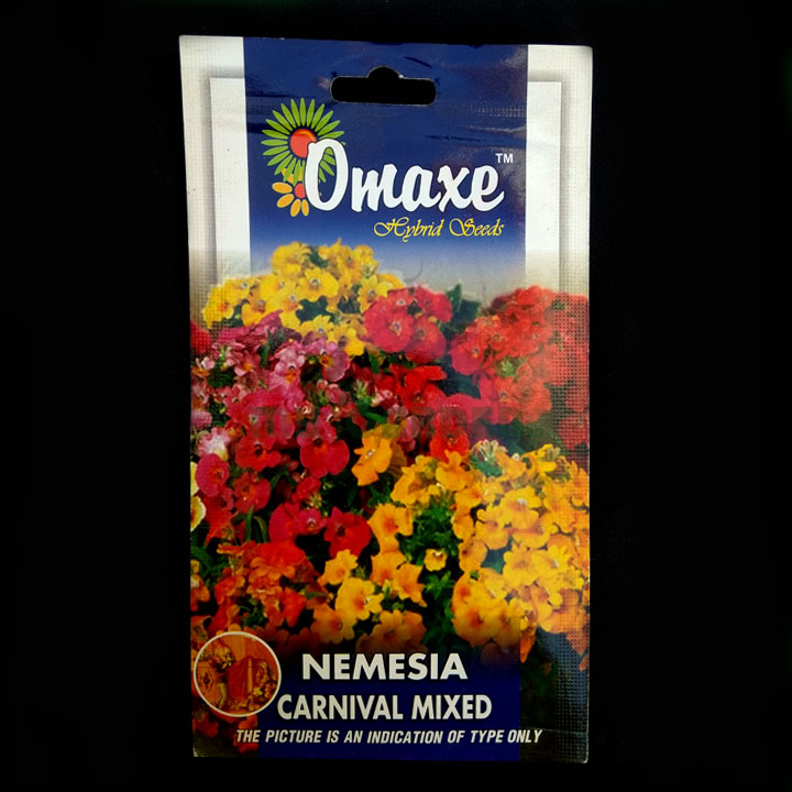 Nemesia Carnival Mixed – (100 seeds) – Omaxe - Indian