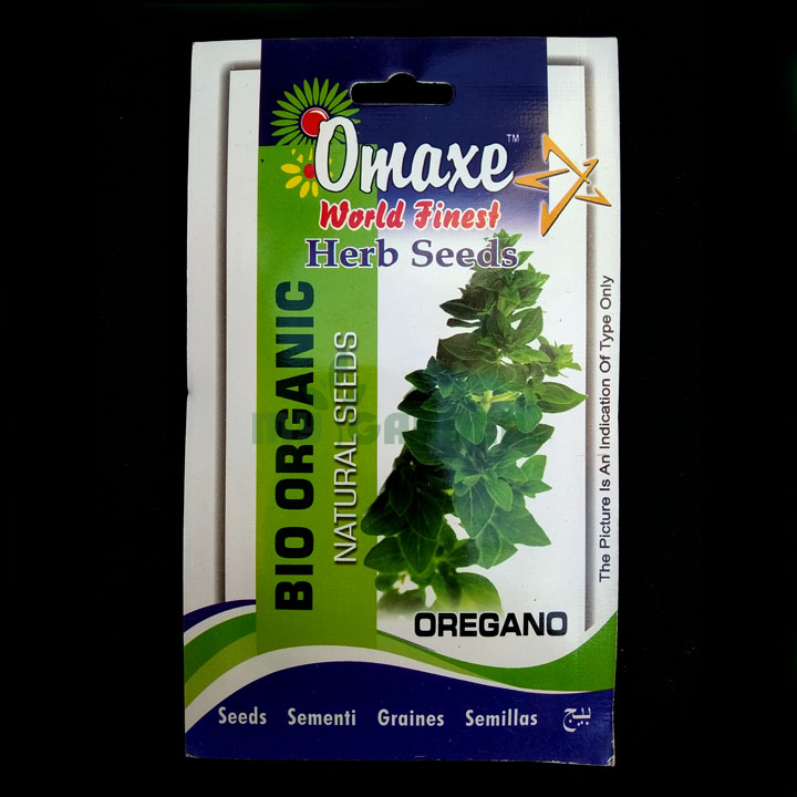 Oregano – (30 to 50 seeds) – Omaxe - Indian