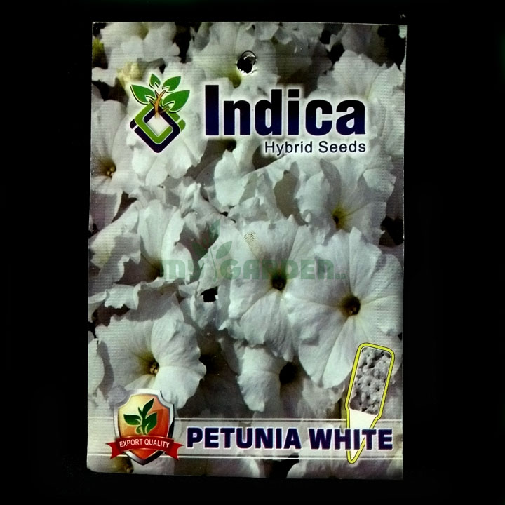Petunia White – (50 seeds) – Indica - Indian