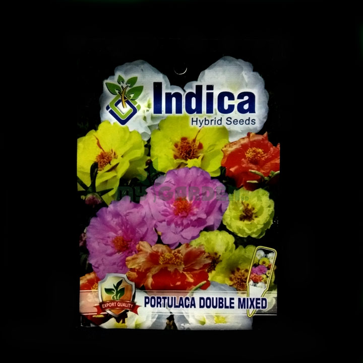 Portullaca Double Mixed – (100 seeds) – Indica - Indian