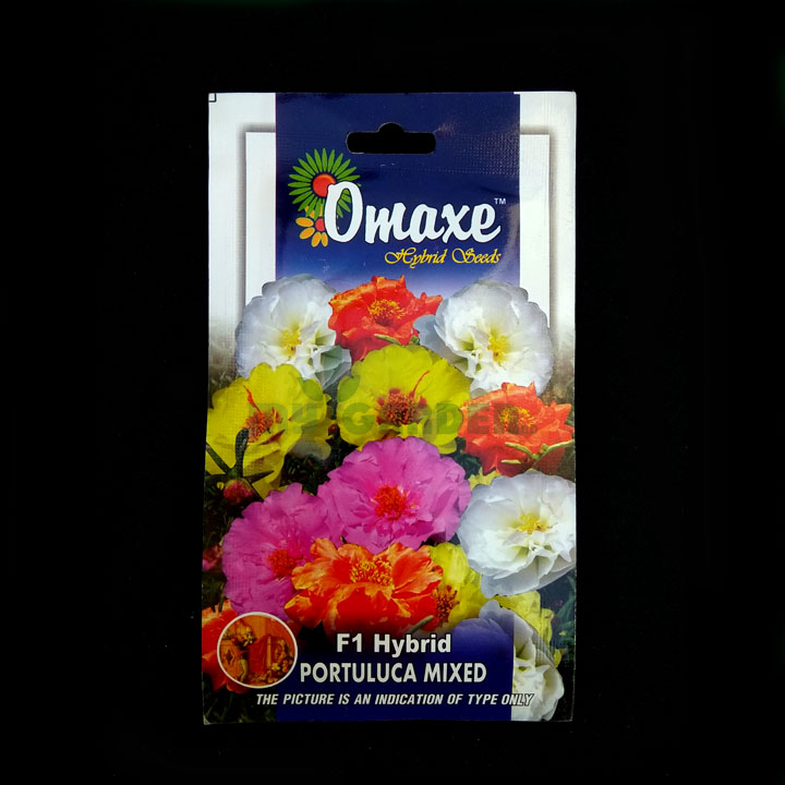 Portuluca Mixed F1 Hybrid – (100 seeds) – Omaxe - Indian