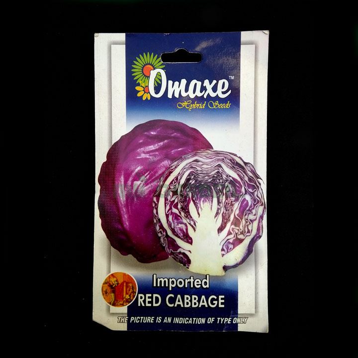 Red Cabbage Imported – (20 seeds) – Omaxe - Indian