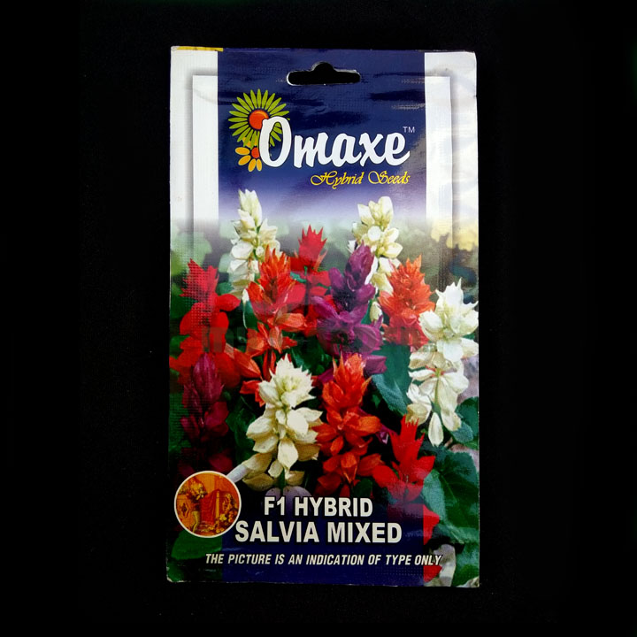 Salvia Mixed F1 Hybrid – (50 seeds) – Omaxe - Indian