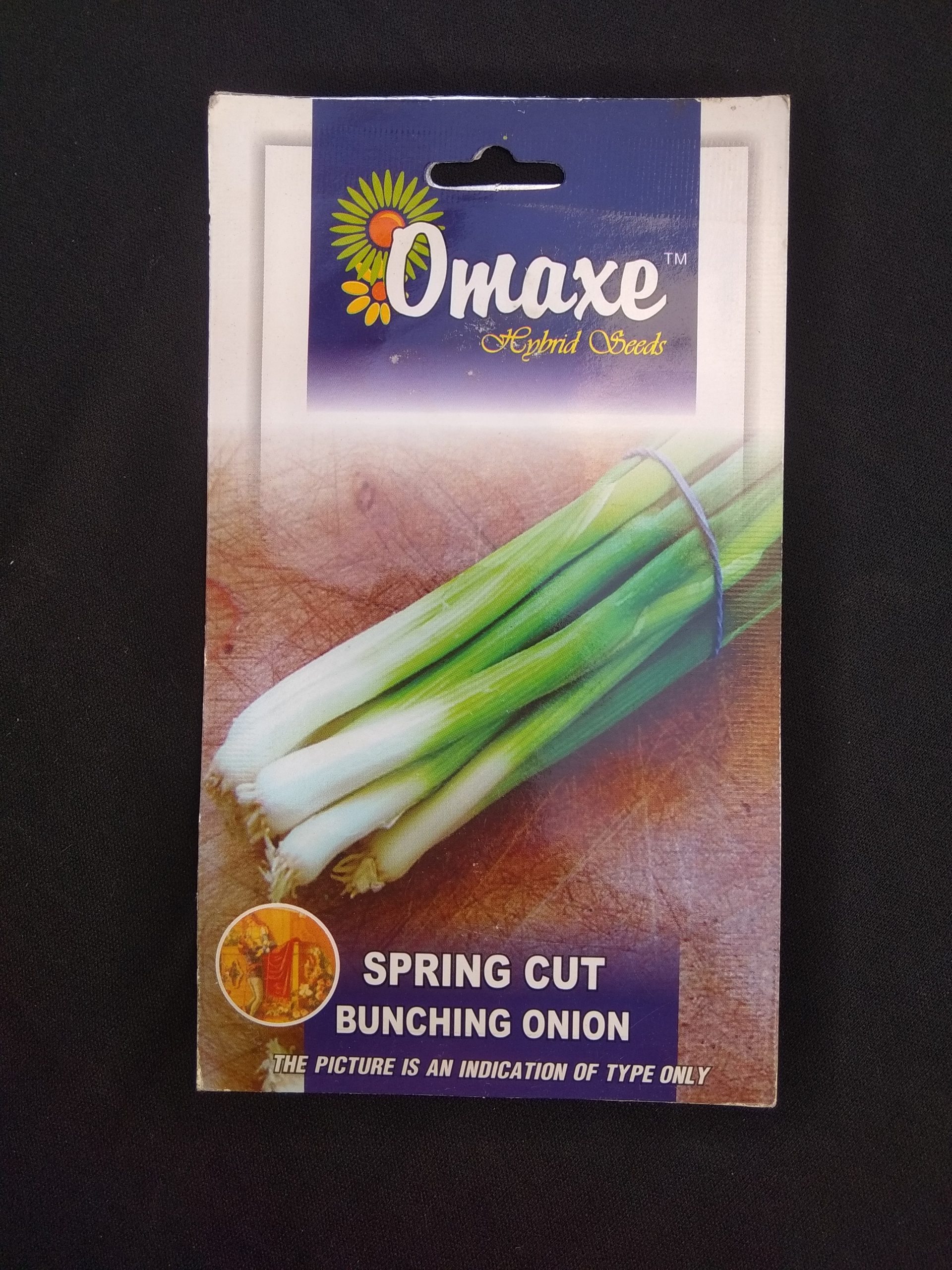 Spring Cut Bunching Onion – (50 seeds) – Omaxe - Indian